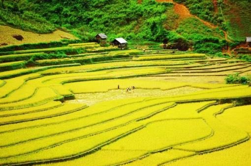 VOYAGER AU NORD-OUEST DU VIETNAM: SITES A DECOUVRIR A NE PAS MANQUER (Part 1)